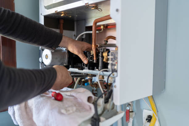 Best Clogged Drain Plumber  in Oostburg, WI